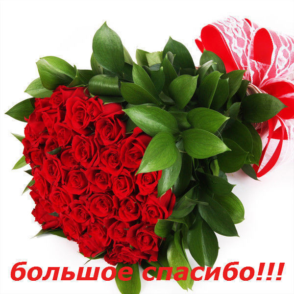  Сельминаз Ислудиновна